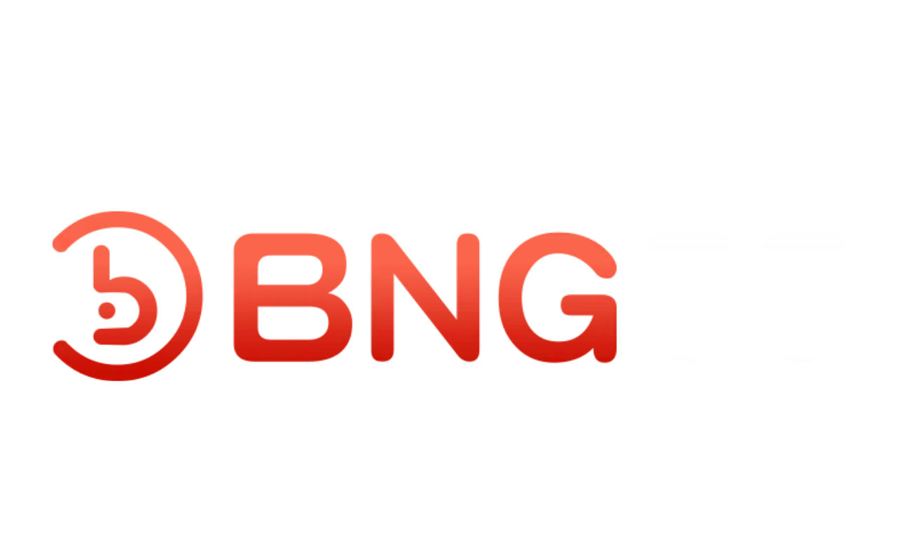 bng55z.com